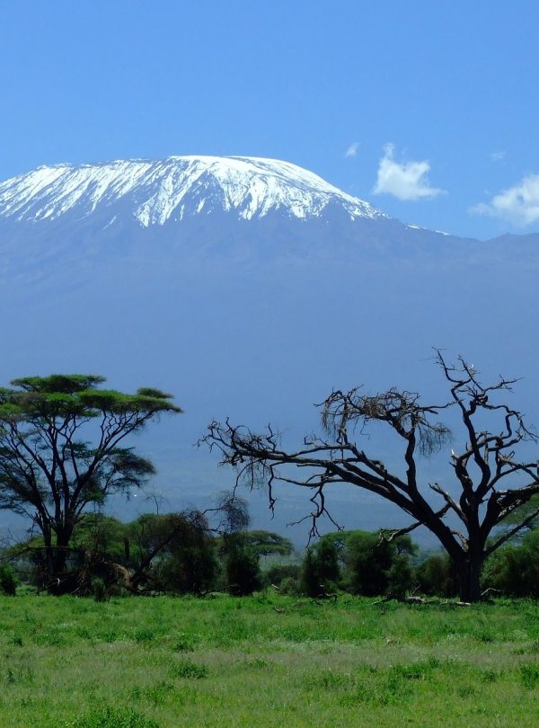 mount kilimanjaro amboseli national park