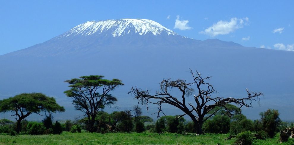 mount kilimanjaro amboseli national park