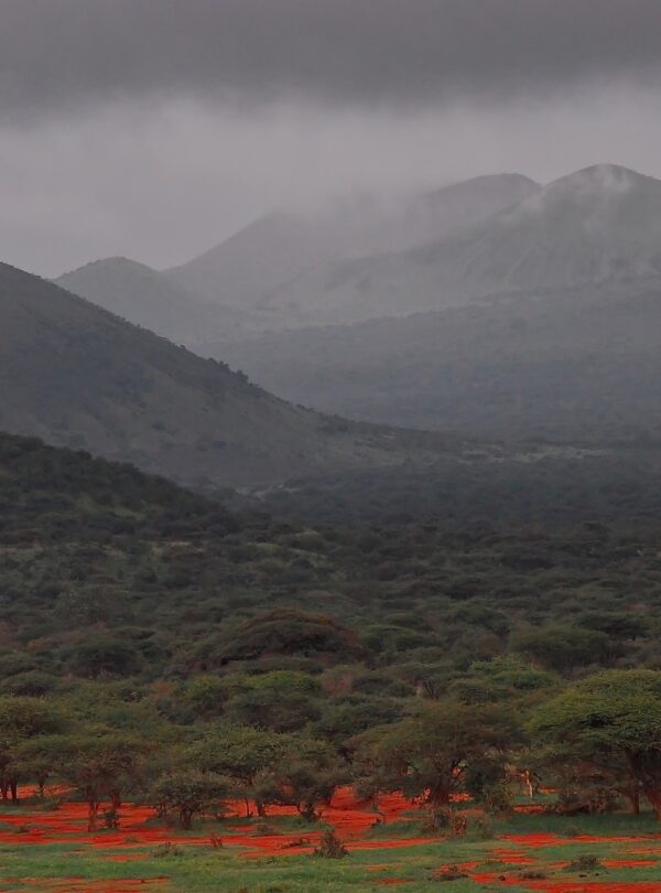 the dramatic terrain of tsavo west