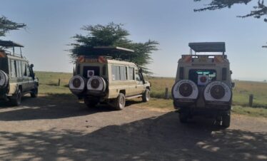 12 day best of kenya safari (12)