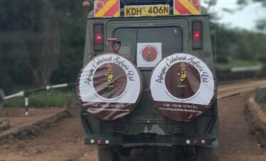 12 day best of kenya safari (5)